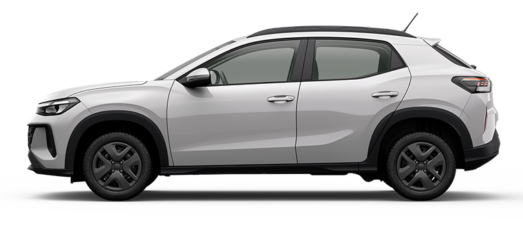 Volkswagen Tera